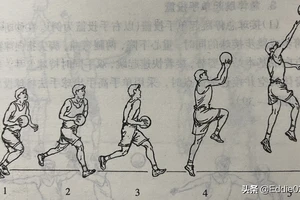 篮球零基础训练视频教程